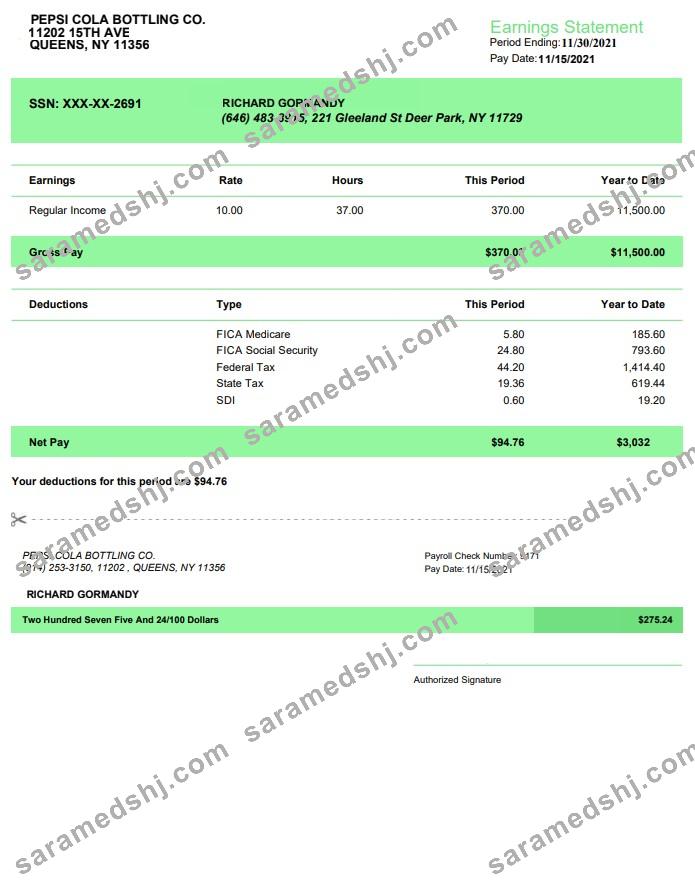 Papsi Cola bottling co earnings statement in PDf and Word formats